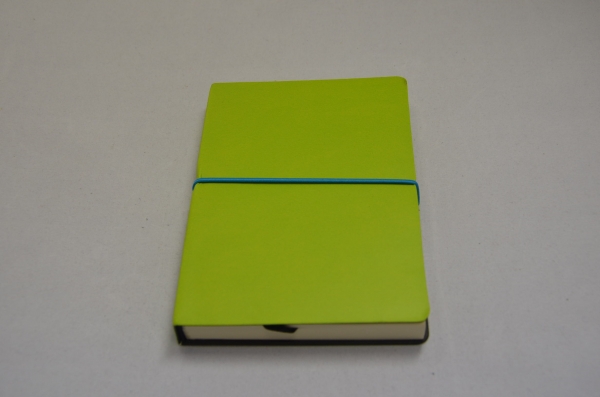 Notizbuch MINI | Außeneinband in verschiedenen Farben | karierte Seiten